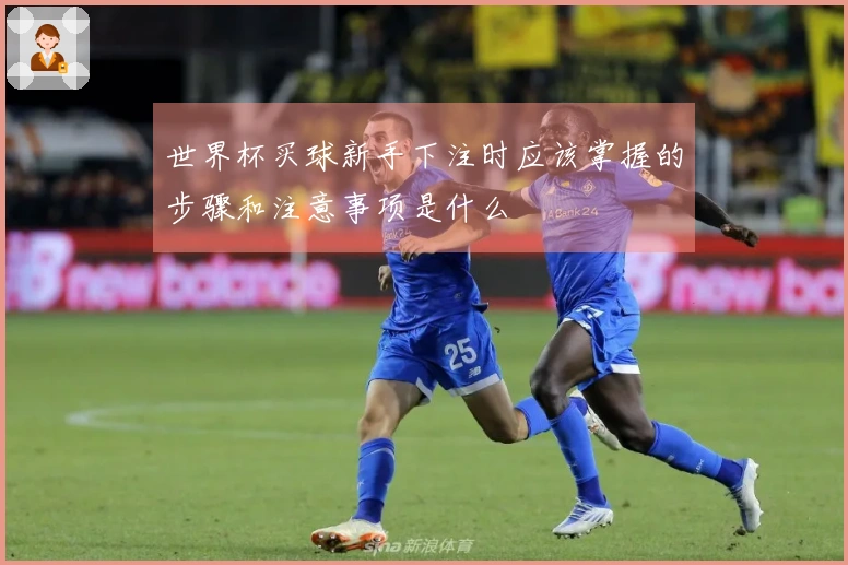 世界杯买球新手下注时应该掌握的步骤和注意事项是什么